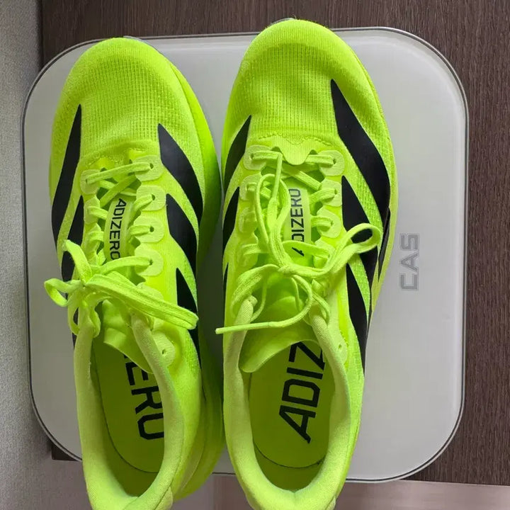 [BUNJANG] Adidas EVO SL Running Shoes / 아디다스 EVO SL 260