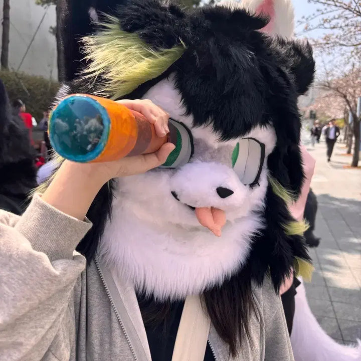 [BUNJANG] Fursuit for Sale / 퍼슈트 판매