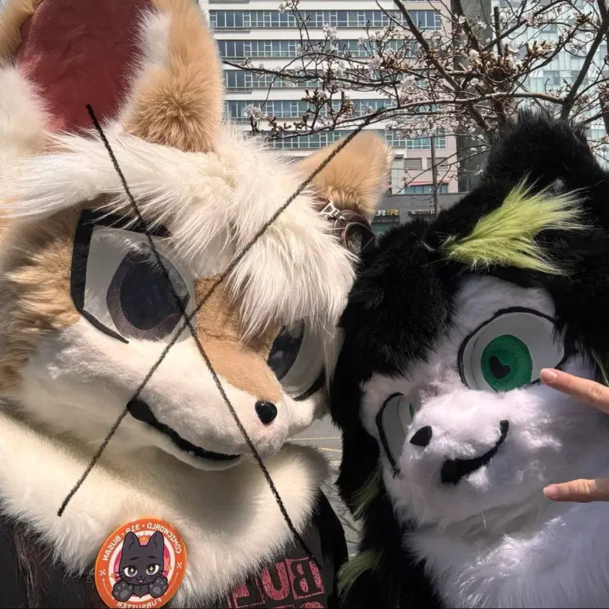 [BUNJANG] Fursuit for Sale / 퍼슈트 판매