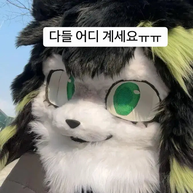 [BUNJANG] Fursuit for Sale / 퍼슈트 판매