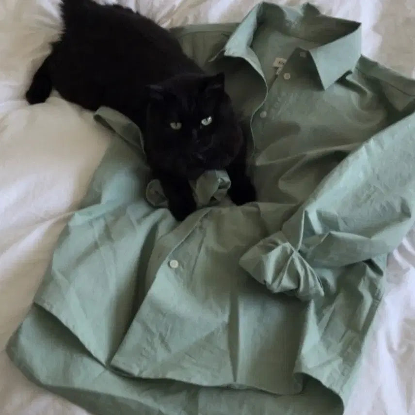 [BUNJANG] Sienne Sage Cotton Shirt - Green / 시엔느 세이지코튼셔츠 그린