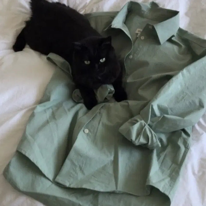 [BUNJANG] Sienne Sage Cotton Shirt - Green / 시엔느 세이지코튼셔츠 그린