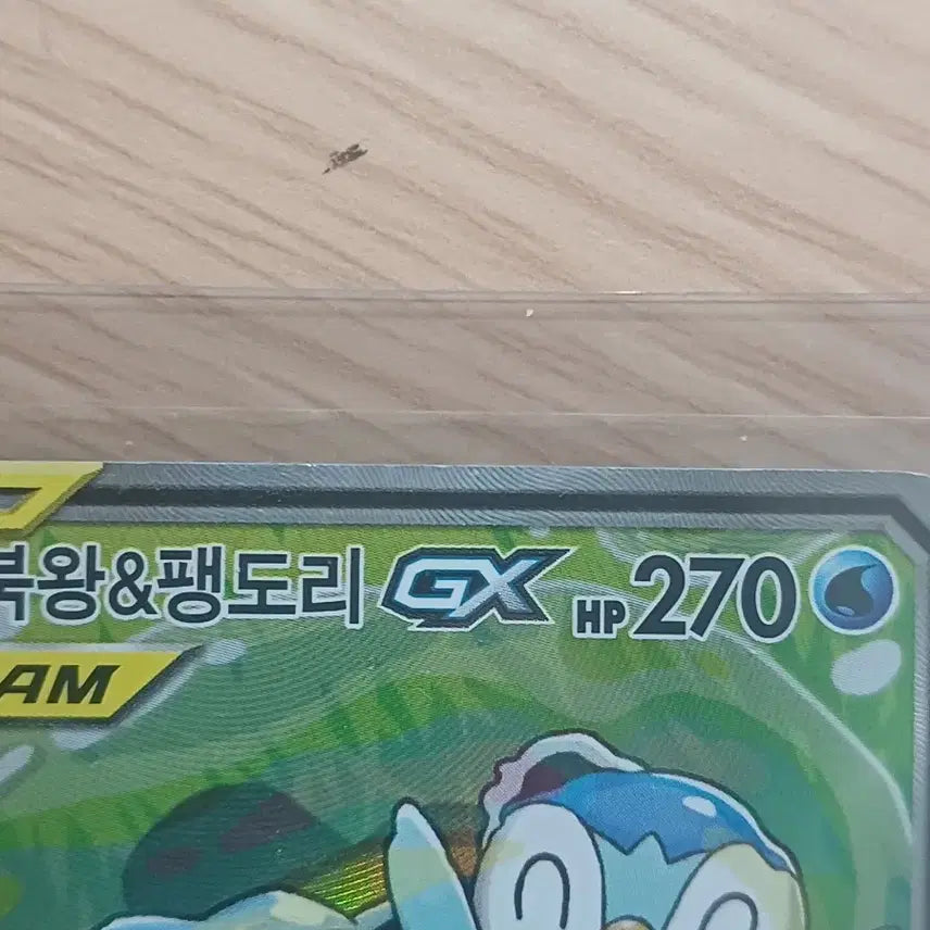 [SOLD OUT] 포켓몬카드 거북왕&amp;팽도리 태그팀 특일