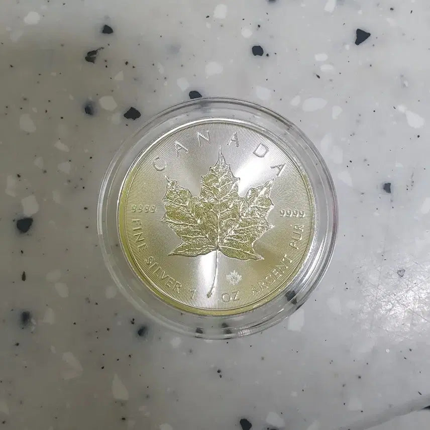 [BUNJANG] 2023 Canada Maple Leaf 1 oz Silver Coin / 23년도 캐나다 메이플 1온스 은화!