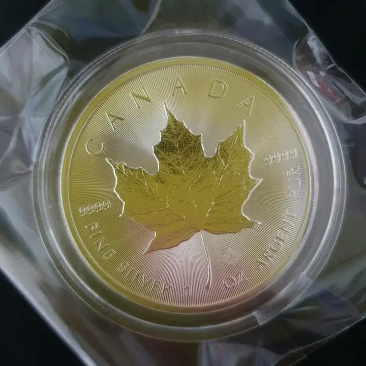 [BUNJANG] 2023 Canada Maple Leaf 1 oz Silver Coin / 23년도 캐나다 메이플 1온스 은화!