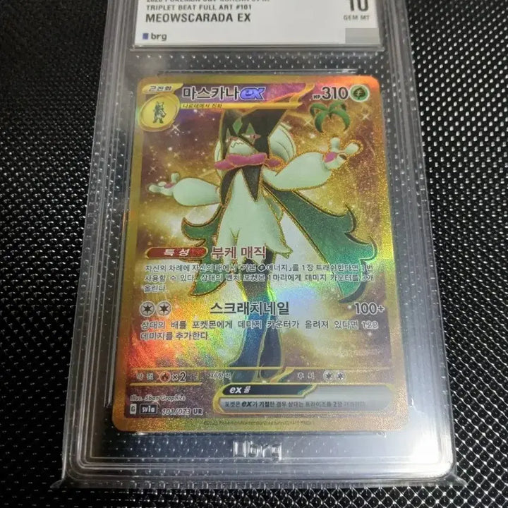 [SOLD OUT] (brg 10) 마스카나ur / 마스카나ex ur 최고등급 카드