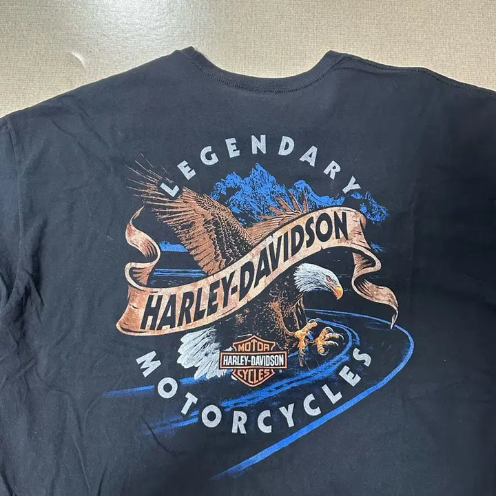 [BUNJANG] Harley Davidson Seoul Limited Edition T-shirt XXL / 할리데이비슨 서울 한정판 머천 반팔 티셔츠 XXL