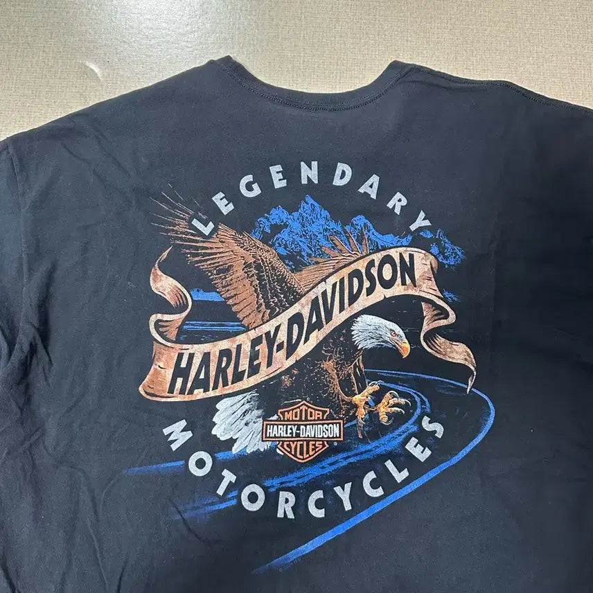 [BUNJANG] Harley Davidson Seoul Limited Edition T-shirt XXL / 할리데이비슨 서울 한정판 머천 반팔 티셔츠 XXL