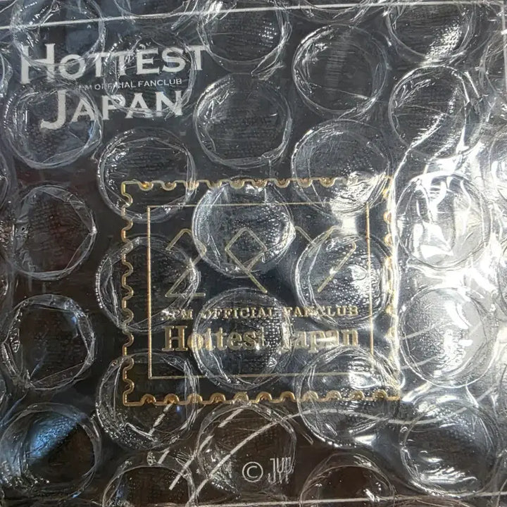 [BUNJANG] 2PM Hottest Japan 팬클럽 뱃지 / 2PM Hottest Japan 팬클럽 뱃지