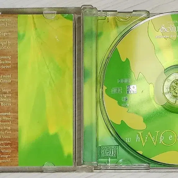 [BUNJANG] Dan Gibson Whispering Woods Guitar for Relaxation CD / [CD] 댄 깁슨 <Whispering Woods>