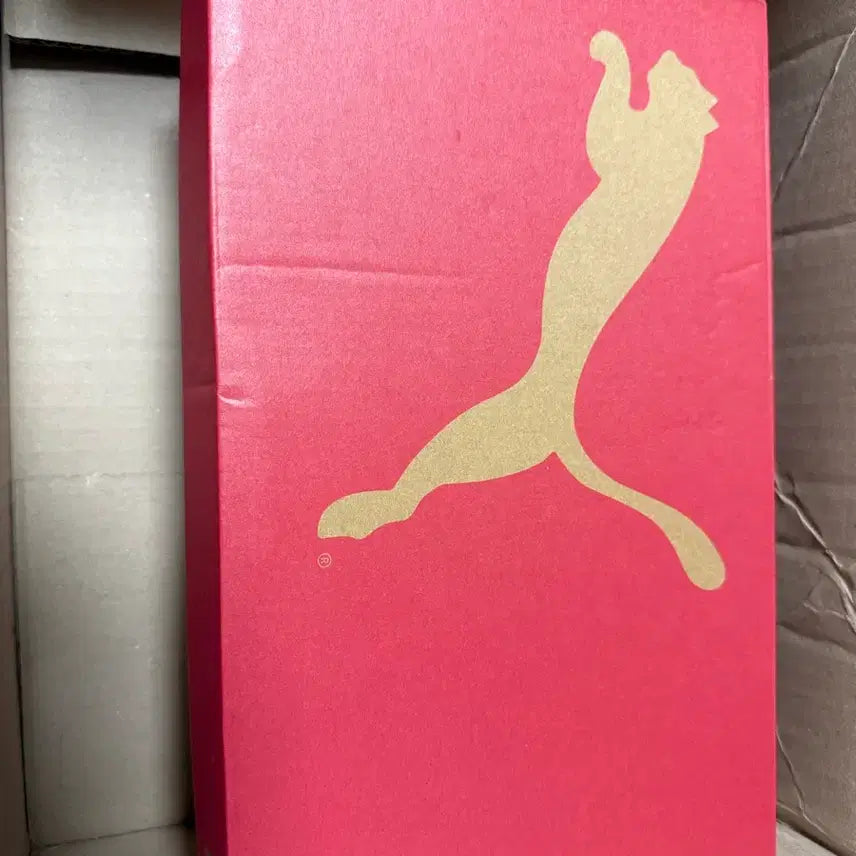 [BUNJANG] Puma Ultra 5 Pro Cage Futsal Shoes 275 / 푸마 풋살화 울트라 5 프로 케이지 풋살화 275
