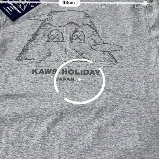 [BUNJANG] KAWS HOLIDAY JAPAN L Art Toy / KAWS HOLIDAY JAPAN 공식 머천 L