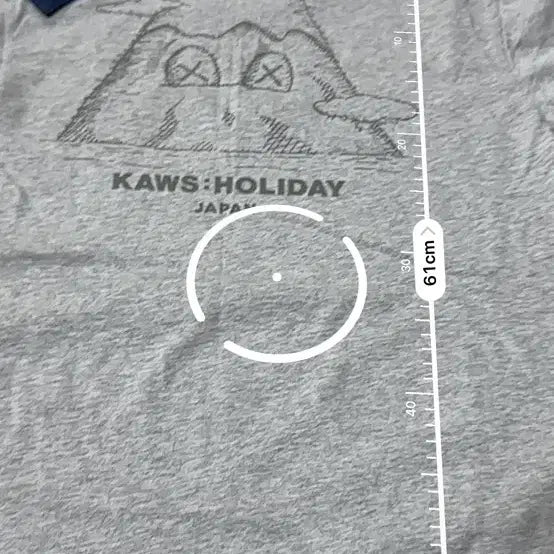 [BUNJANG] KAWS HOLIDAY JAPAN L Art Toy / KAWS HOLIDAY JAPAN 공식 머천 L