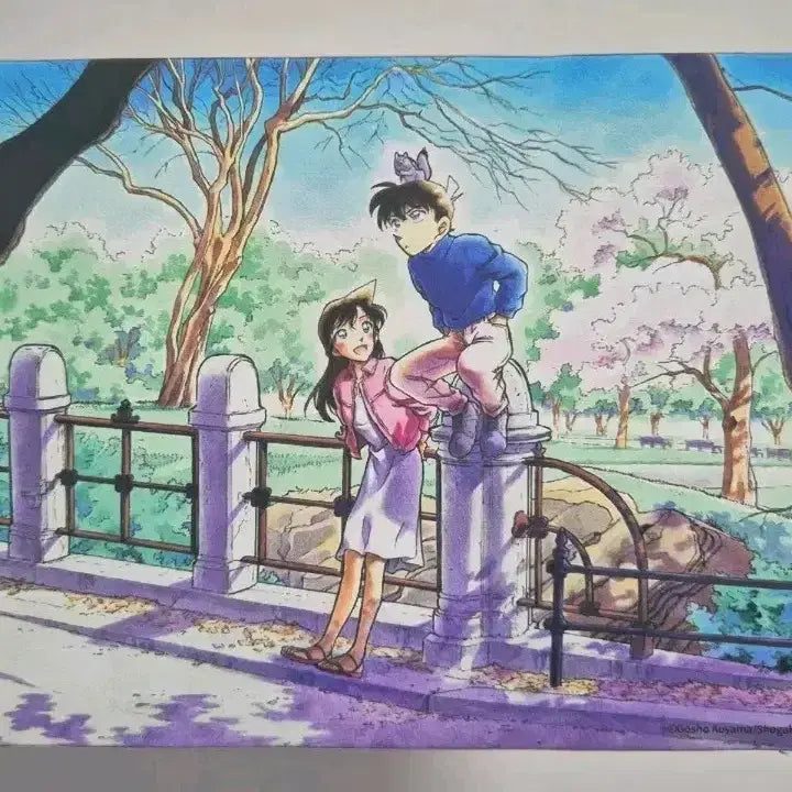 [BUNJANG] Detective Conan 30th Anniversary Exhibition Canvas Frame Shinichi &amp; Ran / 명탐정 코난 30주년 전시회 캔버스 액자 신이치, 란