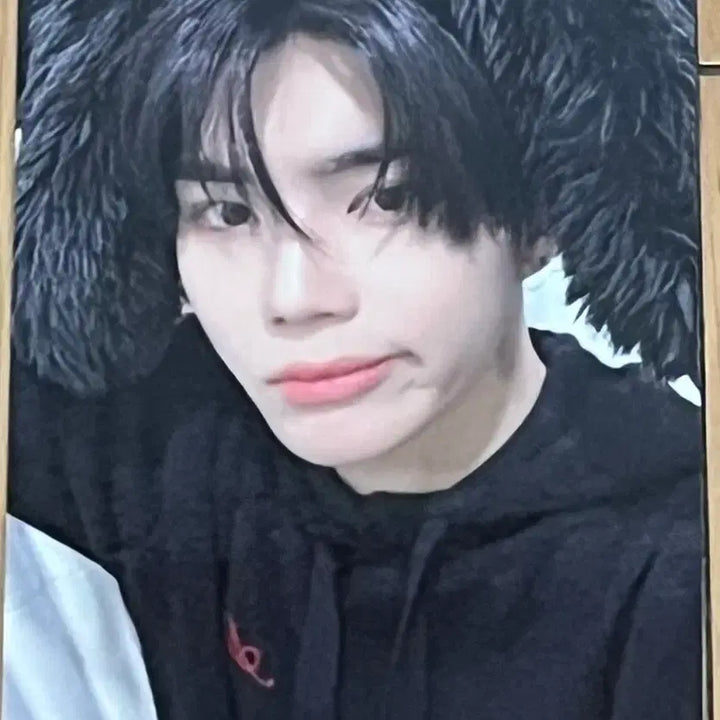 [BUNJANG] ZB1 Park Gunwook Apple Music Photocard / 제베원 애플뮤직 박건욱 포카