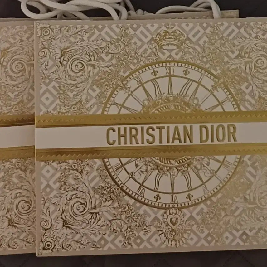[BUNJANG] Hermès and Dior Shopping Bags / 디올 쇼핑백