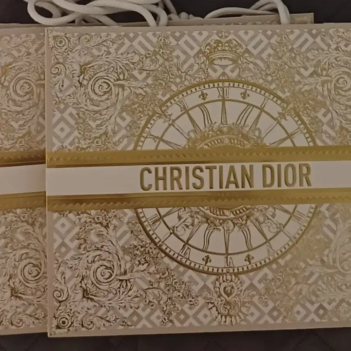 [BUNJANG] Hermès and Dior Shopping Bags / 디올 쇼핑백