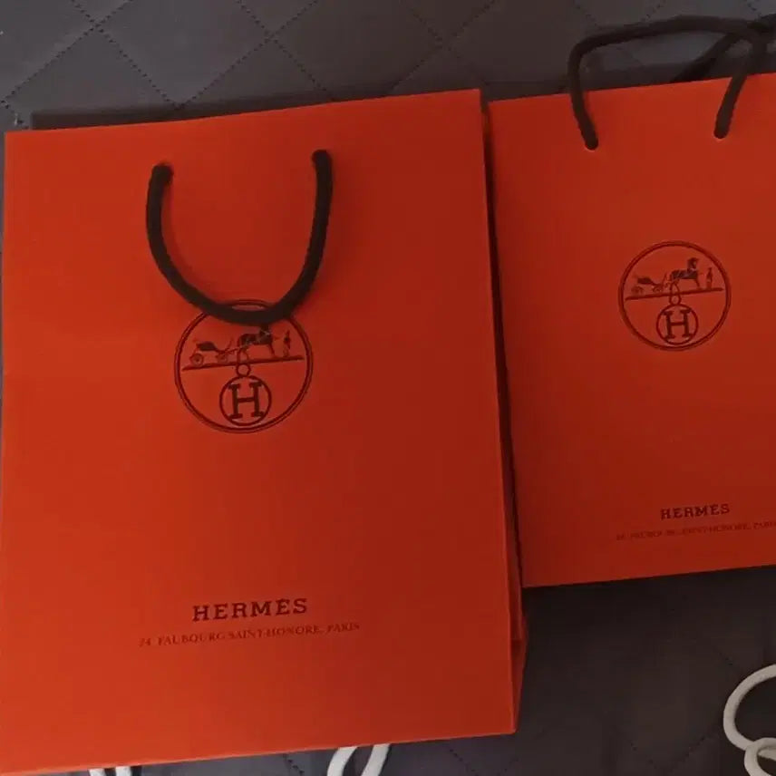 [BUNJANG] Hermès and Dior Shopping Bags / 디올 쇼핑백