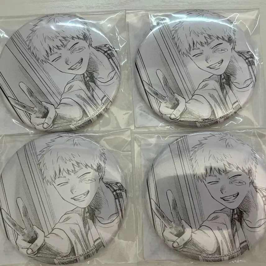 [BUNJANG] Hikaru K-Pop Merchandise Bundle Set / (급전)히죽여 히카루 캔뱃지 일괄