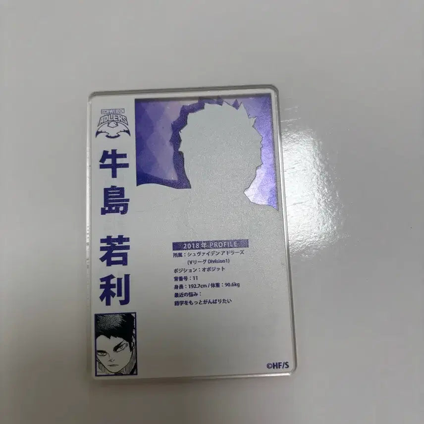 [BUNJANG] 하이큐 우시지마 / 하이큐 우시지마