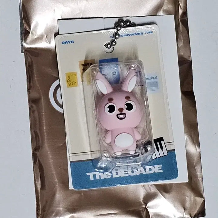 [SOLD OUT] 데이식스 일본MD 랜덤피규어키링 원필