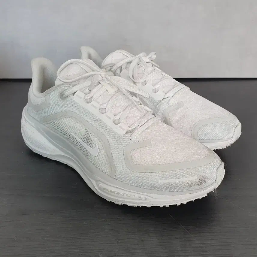 [SOLD OUT] 나이키 에어 줌 페가수스 41 고어텍스 서밋 화이트 포톤 더스트 (250