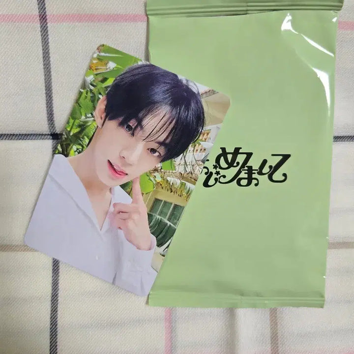 [SOLD OUT] 2025 투어스 하지메마시테 일본 데뷔 포카 도훈