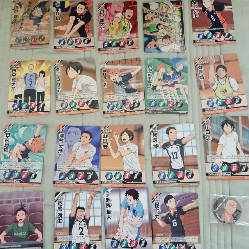 [BUNJANG] Haikyu Schwarz Can Badge Bundle Set / 하이큐 슈발츠 캔뱃지 일괄 판매