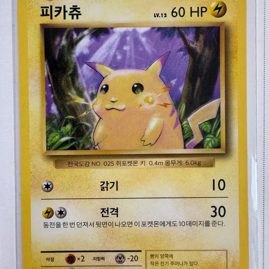 [SOLD OUT] 2016 피카츄 라이츄 포켓몬카드