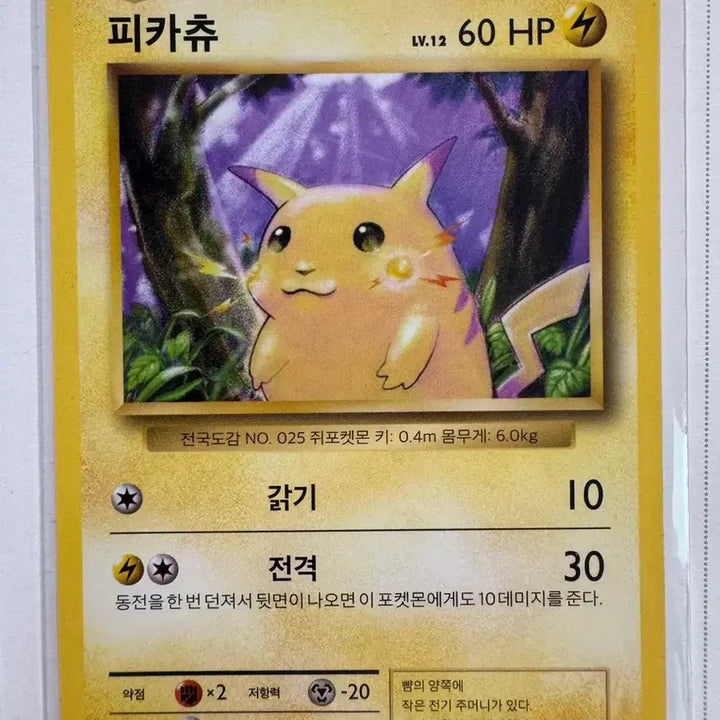 [SOLD OUT] 2016 피카츄 라이츄 포켓몬카드