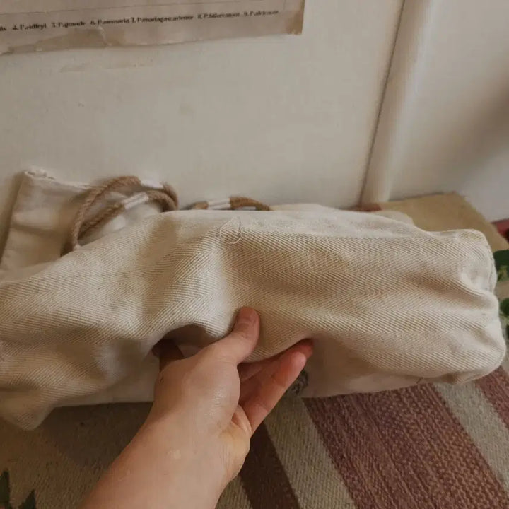 [BUNJANG] Vintage Mushroom Hand-Drawn Canvas Tote Bag / 핸드 드로잉 캔버스 토트백 빈티지 더플백 리메이크 화이트 머쉬룸