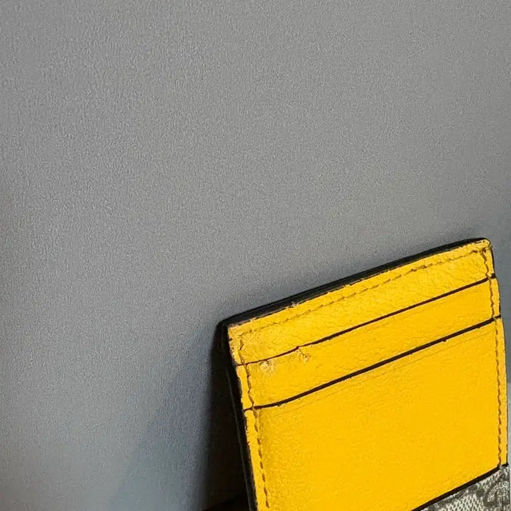 [BUNJANG] Gucci Neo Vintage Card Wallet / 구찌 네오빈티지 카드 지갑