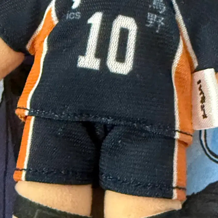 [BUNJANG] Haikyu Hinata Shoyo Jirori Plush Doll / 하이큐 히나타 지로리 인형