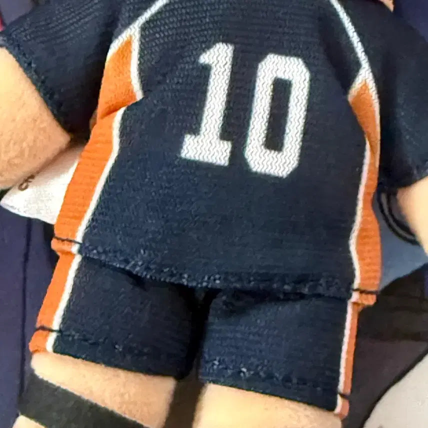 [BUNJANG] Haikyu Hinata Shoyo Jirori Plush Doll / 하이큐 히나타 지로리 인형