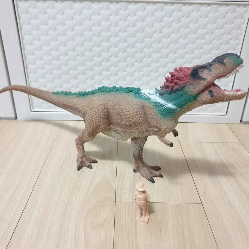 [BUNJANG] CollectA Tyrannosaurus Rex Figure / 컬렉타 깃털 티라노사우루스 렉스