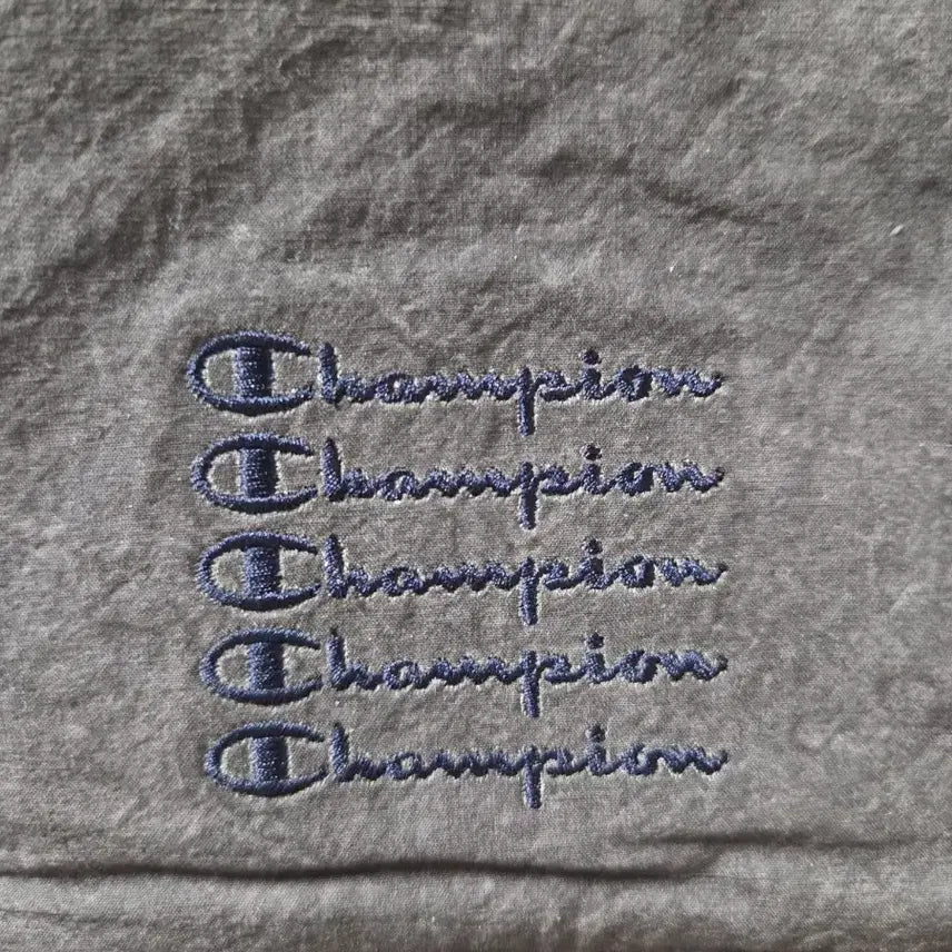 [BUNJANG] Champion Lightweight Backpack / 챔피온 라이트웨이트 백팩