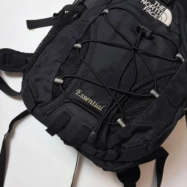 [BUNJANG] The North Face Essential Small Gorpcore Backpack / 노스페이스 00&