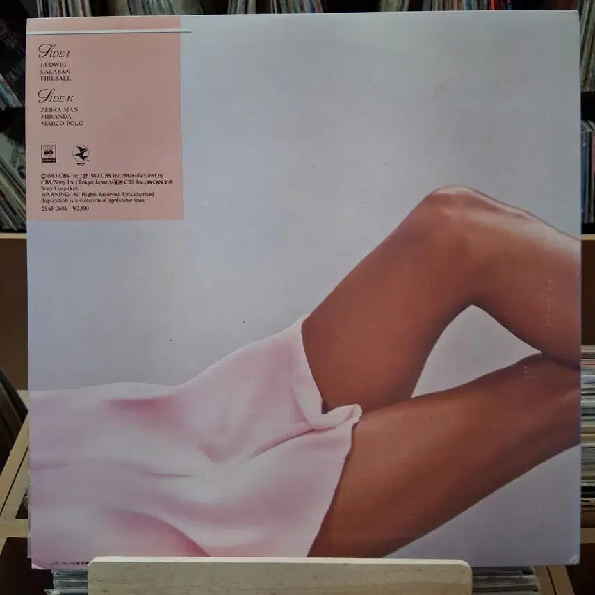 [SOLD OUT] 퓨전 재즈 밥 제임스 Foxie LP 바이닐