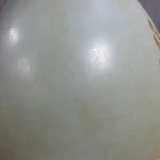 [BUNJANG] Song Dynasty Celadon Prunus Vase Antique / 송 여요 각매화문 옥호춘병 중국도자기 골동품 미술품 수집품