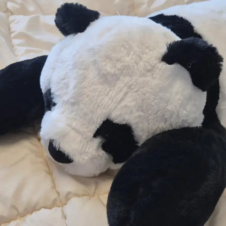 [BUNJANG] Embrace Me Panda Plush Doll / 안아줘 팬더봉제인형