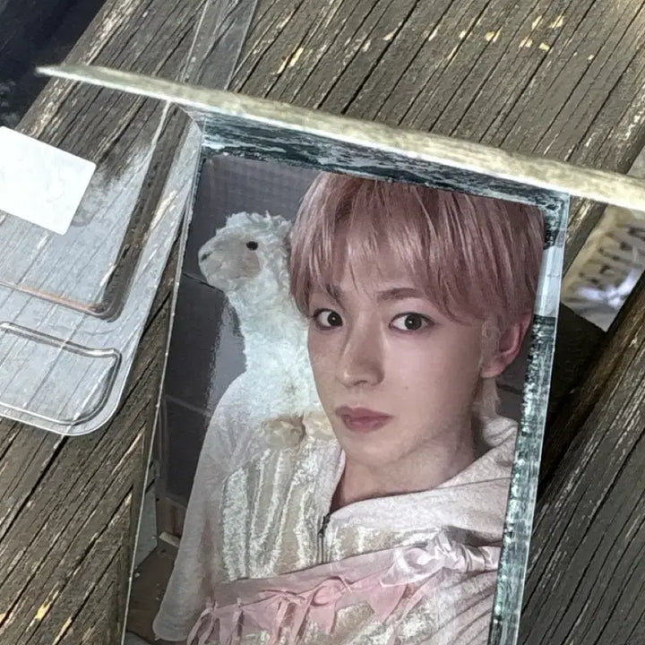 [BUNJANG] Yuushi Photocard / 엔위시 유우시 스미니 포카
