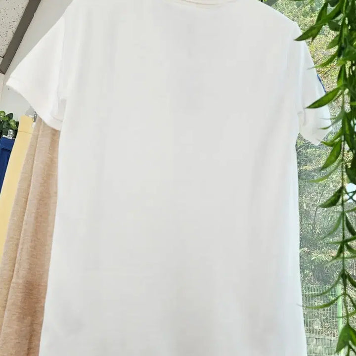 [SOLD OUT] [새상품]CK 반팔 카라티(S)