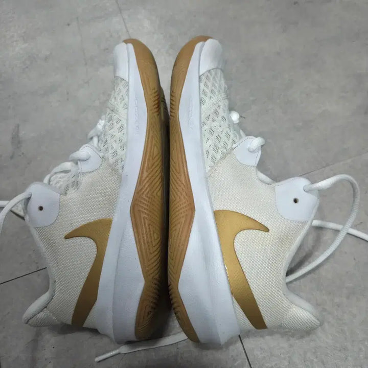 [SOLD OUT] 나이키 줌 하이퍼스피드 코트 배구화 260