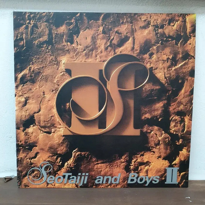[BUNJANG] Seo Taiji and Boys 2nd Album LP / 서태지와 아이들 2집 LP 1993. 하여가.  너에게