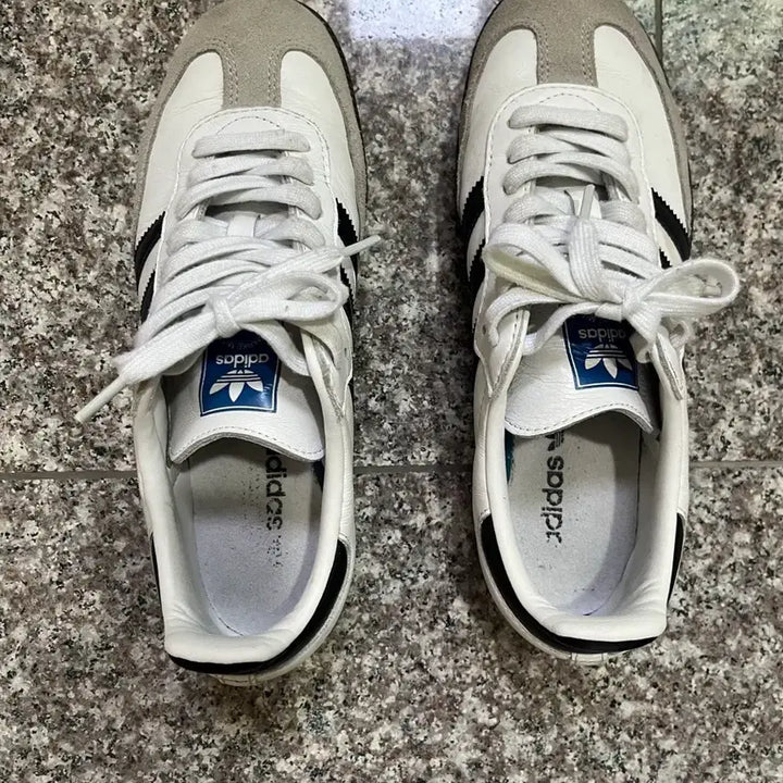 [SOLD OUT] 아디다스 삼바