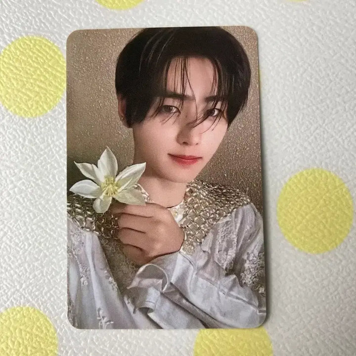 [BUNJANG] ENHYPEN Sunghoon ORANGE BLOOD Photocard / 엔하이픈 박성훈 ORANGE BLOOD  포토카드 포카