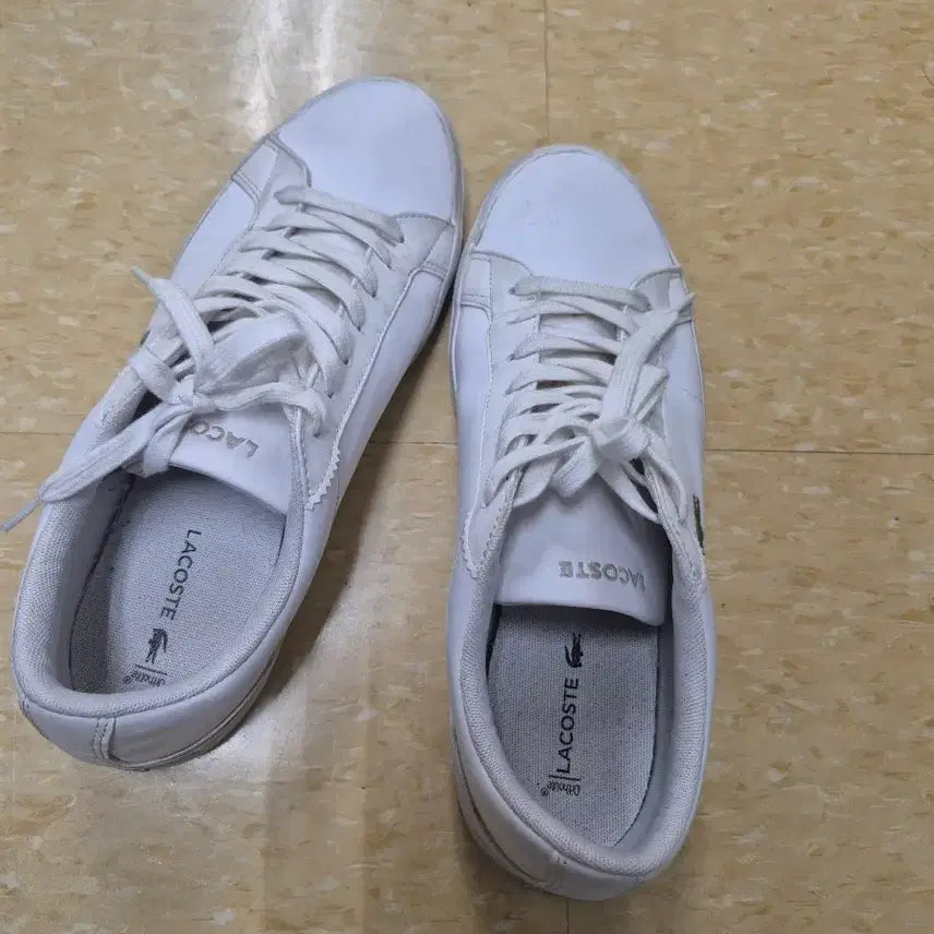 [SOLD OUT] 라코스테라코스테 스니커즈 사이즈 USA 8 (약 260