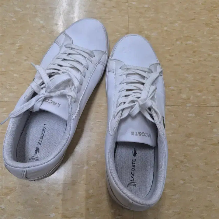 [SOLD OUT] 라코스테라코스테 스니커즈 사이즈 USA 8 (약 260