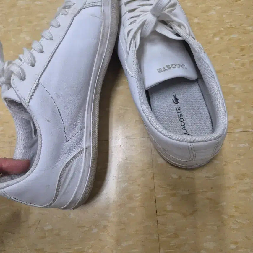 [SOLD OUT] 라코스테라코스테 스니커즈 사이즈 USA 8 (약 260