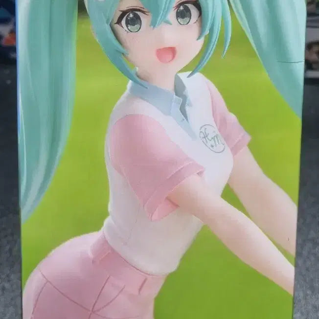 [BUNJANG] Hatsune Miku Official Unsealed Figure / 하츠네 미쿠 (정품,미개봉,배포)